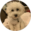 Michele M. profile picture